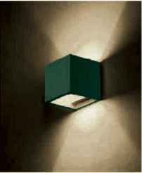 capture_1